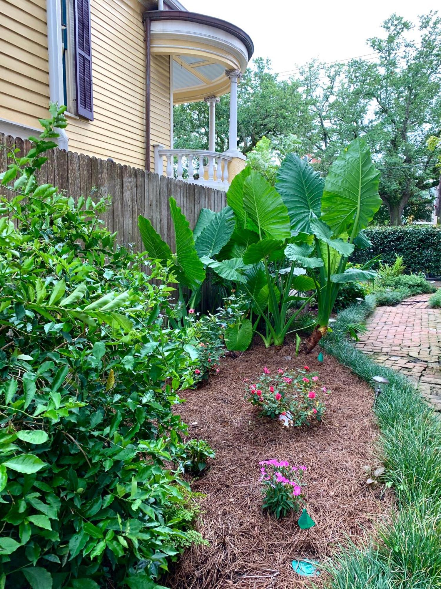 French Quarter Lanaux Mansion Bed And Breakfast New Orleans Phòng bức ảnh